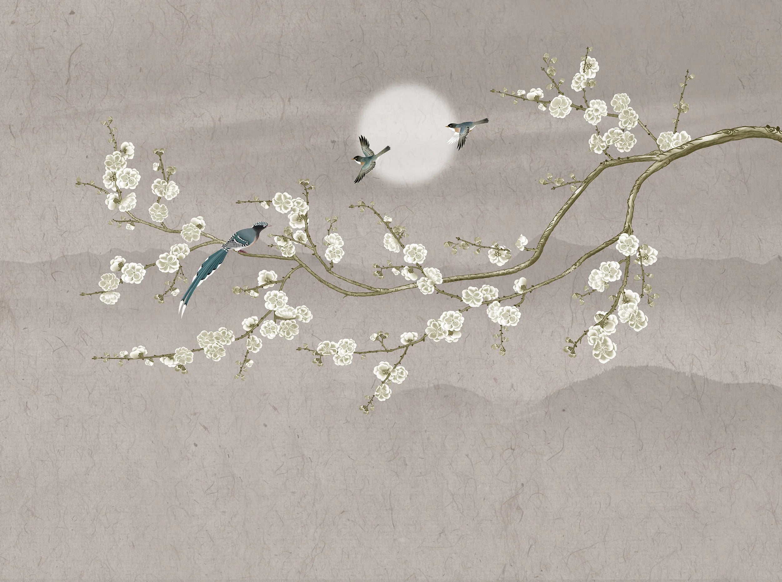 Calm Retreat - Quirky Looks