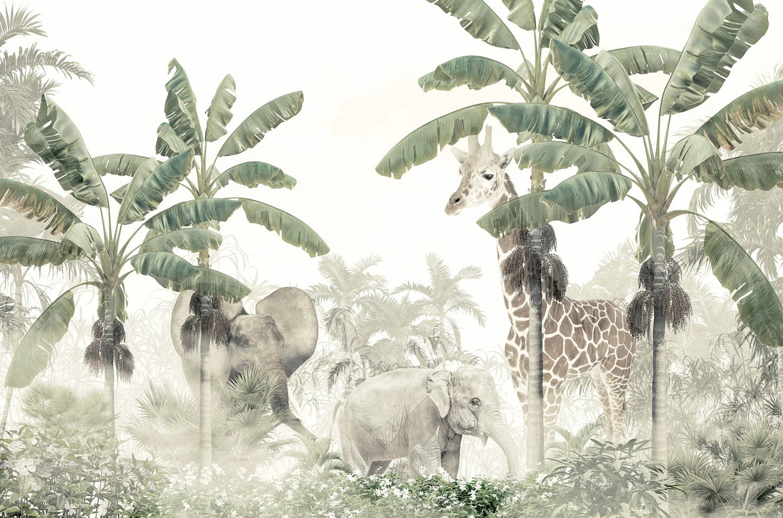 Safari Magic Wall Design