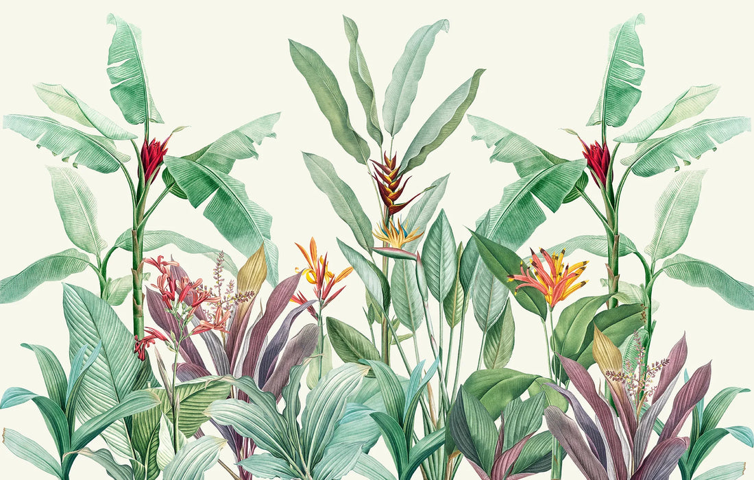 Urban Tropique - Quirky Looks