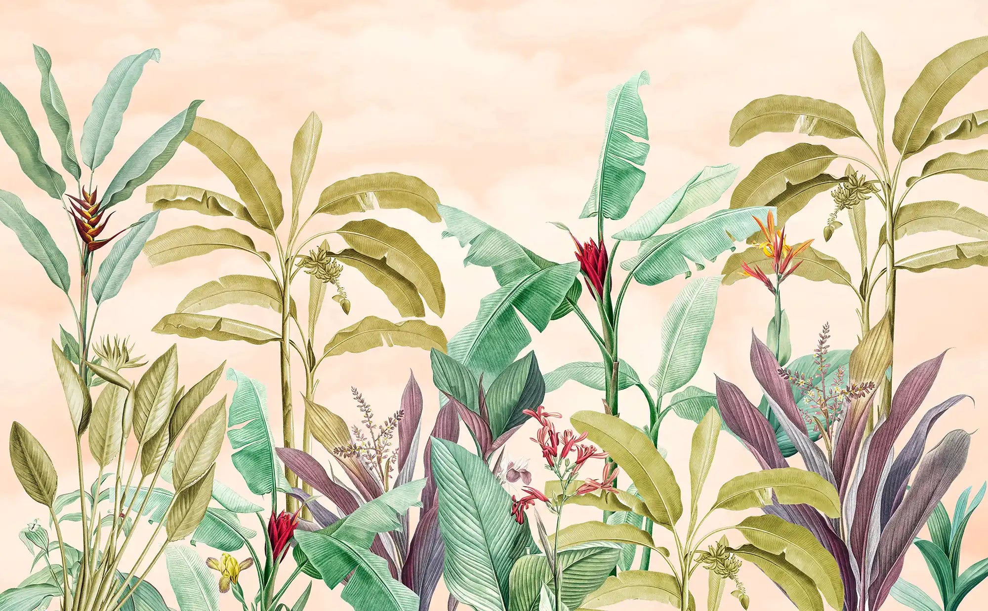 Soft Tropical Haven - Quirky Looks