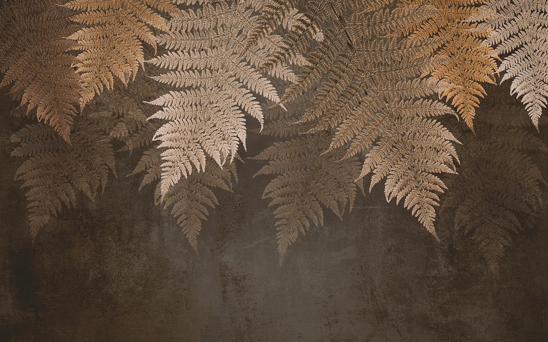 Fern shadows - Quirky Looks
