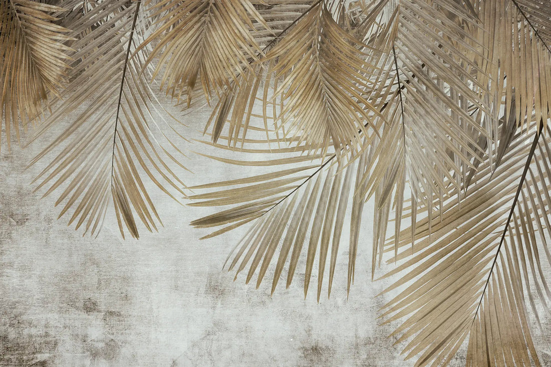 Hanging Royal Ferns - Quirky Looks