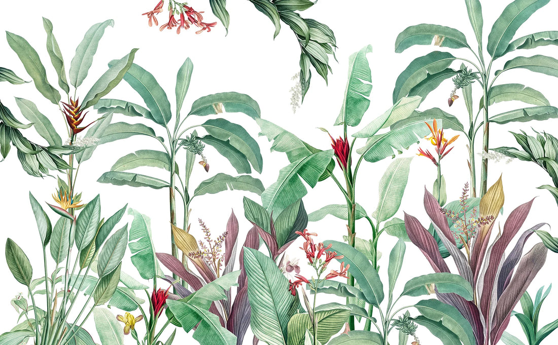 Tropial Breeze - Quirky Looks