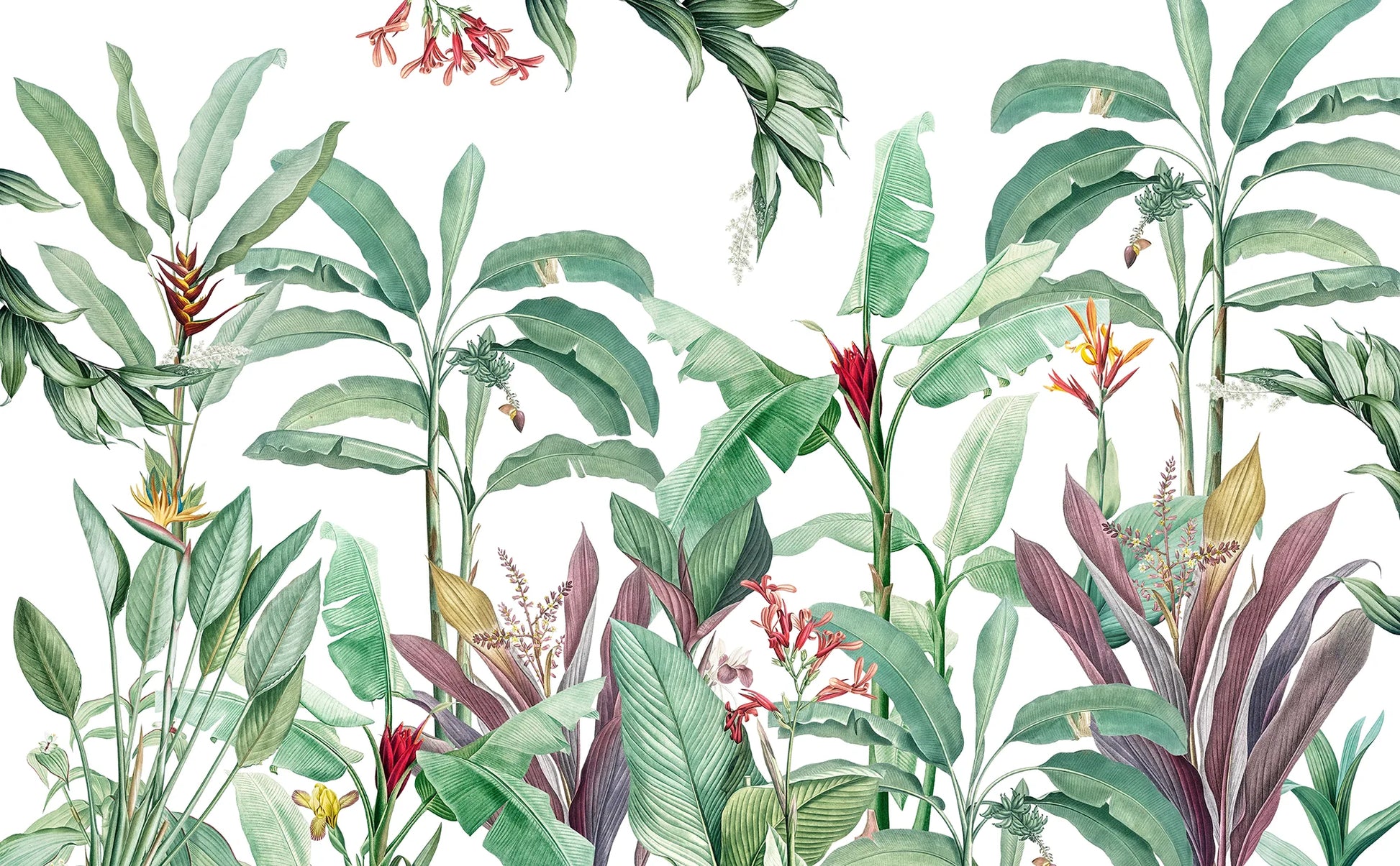 Tropial Breeze - Quirky Looks